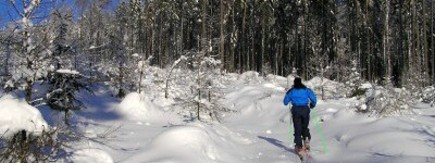 B�eck� ly�ov�n� a skialpinismus